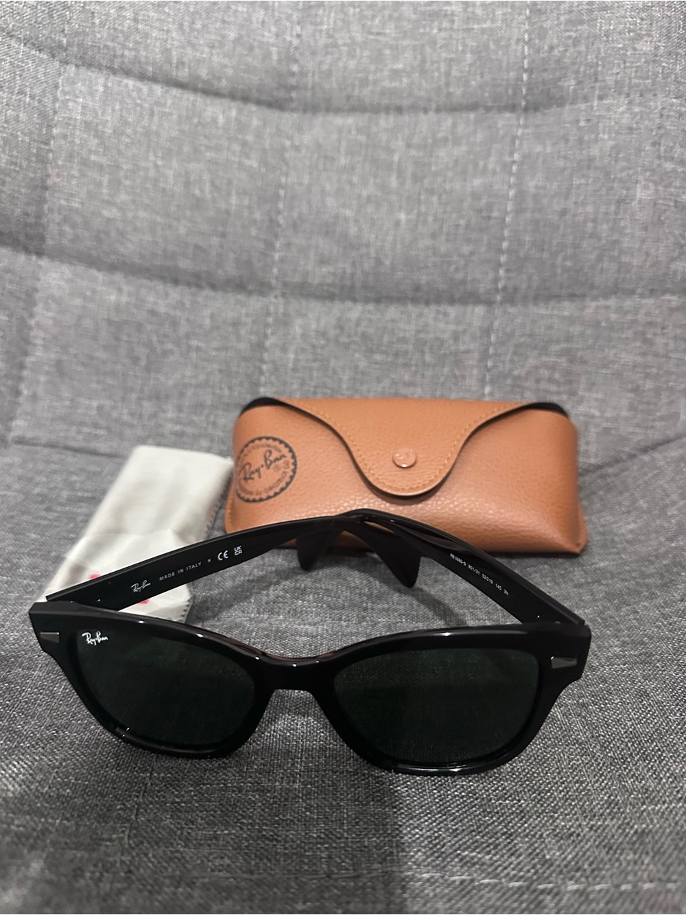 Ray-Ban Black Sunglasses